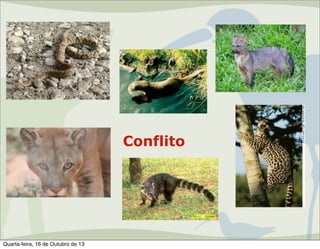 Conflito

Quarta-feira, 16 de Outubro de 13

 