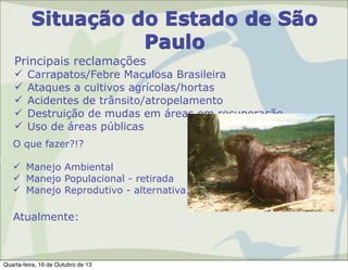 Situação do Estado de São
Paulo
Principais reclamações






Carrapatos/Febre Maculosa Brasileira
Ataques a cultivos agrícolas/hortas
Acidentes de trânsito/atropelamento
Destruição de mudas em áreas em recuperação
Uso de áreas públicas

O que fazer?!?
 Manejo Ambiental
 Manejo Populacional - retirada
 Manejo Reprodutivo - alternativa

Atualmente:

Quarta-feira, 16 de Outubro de 13

 