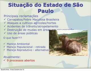 Situação do Estado de São
Paulo
Principais reclamações






Carrapatos/Febre Maculosa Brasileira
Ataques a cultivos agrícolas/hortas
Acidentes de trânsito/atropelamento
Destruição de mudas em áreas em recuperação
Uso de áreas públicas

O que fazer?!?
 Manejo Ambiental
 Manejo Populacional - retirada
 Manejo Reprodutivo - alternativa

Atualmente:
 9 processos abertos
Quarta-feira, 16 de Outubro de 13

 