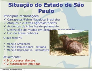 Situação do Estado de São
Paulo
Principais reclamações






Carrapatos/Febre Maculosa Brasileira
Ataques a cultivos agrícolas/hortas
Acidentes de trânsito/atropelamento
Destruição de mudas em áreas em recuperação
Uso de áreas públicas

O que fazer?!?
 Manejo Ambiental
 Manejo Populacional - retirada
 Manejo Reprodutivo - alternativa

Atualmente:
 9 processos abertos
 2 autorizações emitidas
Quarta-feira, 16 de Outubro de 13

 