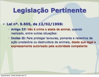 Legislação Pertinente
• Lei nº. 9.605, de 12/02/1998:
– Artigo 37: Não é crime o abate de animal, quando
realizado, entre outras situações:
– Inciso II: Para proteger lavouras, pomares e rebanhos da
ação predatória ou destruidora de animais, desde que legal e
expressamente autorizado pela autoridade competente

Quarta-feira, 16 de Outubro de 13

 