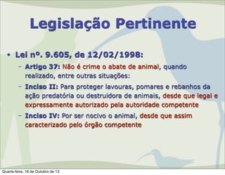 Legislação Pertinente
• Lei nº. 9.605, de 12/02/1998:
– Artigo 37: Não é crime o abate de animal, quando
realizado, entre outras situações:
– Inciso II: Para proteger lavouras, pomares e rebanhos da
ação predatória ou destruidora de animais, desde que legal e
expressamente autorizado pela autoridade competente
– Inciso IV: Por ser nocivo o animal, desde que assim
caracterizado pelo órgão competente

Quarta-feira, 16 de Outubro de 13

 