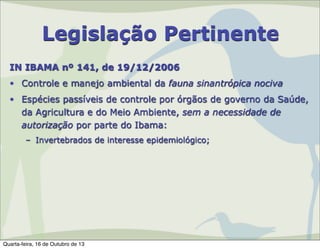 Legislação Pertinente
IN IBAMA nº 141, de 19/12/2006
• Controle e manejo ambiental da fauna sinantrópica nociva
• Espécies passíveis de controle por órgãos de governo da Saúde,
da Agricultura e do Meio Ambiente, sem a necessidade de
autorização por parte do Ibama:
– Invertebrados de interesse epidemiológico;

Quarta-feira, 16 de Outubro de 13

 