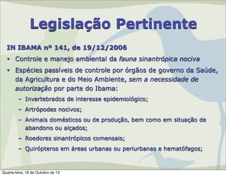 Legislação Pertinente
IN IBAMA nº 141, de 19/12/2006
• Controle e manejo ambiental da fauna sinantrópica nociva
• Espécies passíveis de controle por órgãos de governo da Saúde,
da Agricultura e do Meio Ambiente, sem a necessidade de
autorização por parte do Ibama:
– Invertebrados de interesse epidemiológico;
– Artrópodes nocivos;
– Animais domésticos ou de produção, bem como em situação de
abandono ou alçados;
– Roedores sinantrópicos comensais;
– Quirópteros em áreas urbanas ou periurbanas e hematófagos;

Quarta-feira, 16 de Outubro de 13

 