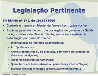 Legislação Pertinente
IN IBAMA nº 141, de 19/12/2006
• Controle e manejo ambiental da fauna sinantrópica nociva
• Espécies passíveis de controle por órgãos de governo da Saúde,
da Agricultura e do Meio Ambiente, sem a necessidade de
autorização por parte do Ibama:
– Invertebrados de interesse epidemiológico;
– Artrópodes nocivos;
– Animais domésticos ou de produção, bem como em situação de
abandono ou alçados;
– Roedores sinantrópicos comensais;
– Quirópteros em áreas urbanas ou periurbanas e hematófagos;
– Espécies exóticas invasoras comprovadamente nocivas à
Quarta-feira, 16 de Outubro de 13

 