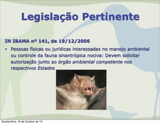 Legislação Pertinente
IN IBAMA nº 141, de 19/12/2006
• Pessoas físicas ou jurídicas interessadas no manejo ambiental
ou controle da fauna sinantrópica nociva: Devem solicitar
autorização junto ao órgão ambiental competente nos
respectivos Estados

Quarta-feira, 16 de Outubro de 13

 