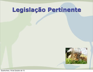 Legislação Pertinente

Quarta-feira, 16 de Outubro de 13

 