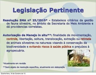Legislação Pertinente
Resolução SMA nº 25/2010* - Estabelece critérios da gestão
de fauna silvestre, no âmbito da Secretaria do Meio Ambiente e
dá providencias correlatas.
Autorização de Manejo in situ**: finalidade de movimentação,
controle, libertação, soltura, translocação, extração ou retirada
de animais silvestres na natureza visando à conservação da
biodiversidade e evitando riscos à saúde pública e prejuízos à
agropecuária.

*Atualmente em revisão
**Será objeto de resolução específica, atualmente em elaboração
Quarta-feira, 16 de Outubro de 13

 