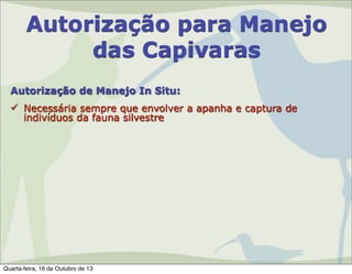 Autorização para Manejo
das Capivaras
Autorização de Manejo In Situ:
 Necessária sempre que envolver a apanha e captura de
indivíduos da fauna silvestre

Quarta-feira, 16 de Outubro de 13

 