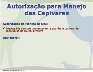 Autorização para Manejo
das Capivaras
Autorização de Manejo In Situ:
 Necessária sempre que envolver a apanha e captura de
indivíduos da fauna silvestre
Dúvidas?!?!

Quarta-feira, 16 de Outubro de 13

 