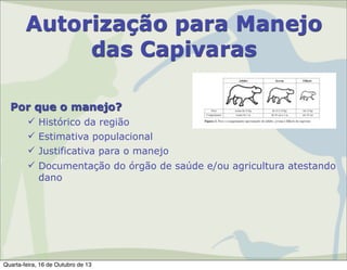 Autorização para Manejo
das Capivaras
Por que o manejo?
 Histórico da região
 Estimativa populacional
 Justificativa para o manejo
 Documentação do órgão de saúde e/ou agricultura atestando
dano

Quarta-feira, 16 de Outubro de 13

 