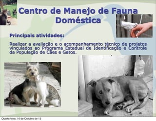 Centro de Manejo de Fauna
Doméstica
Principais atividades:
Realizar a avaliação e o acompanhamento técnico de projetos
vinculados ao Programa Estadual de Identificação e Controle
da População de Cães e Gatos.

Quarta-feira, 16 de Outubro de 13

 