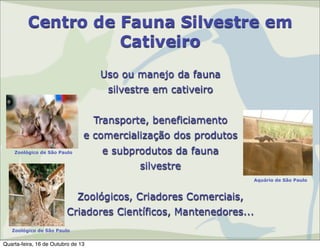 Centro de Fauna Silvestre em
Cativeiro
Uso ou manejo da fauna
silvestre em cativeiro
Transporte, beneficiamento
e comercialização dos produtos
e subprodutos da fauna

Zoológico de São Paulo

silvestre
Aquário de São Paulo

Zoológicos, Criadores Comerciais,
Criadores Científicos, Mantenedores...
Zoológico de São Paulo

Quarta-feira, 16 de Outubro de 13

 