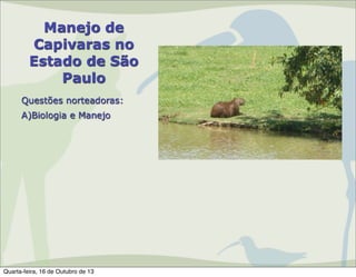 Manejo de
Capivaras no
Estado de São
Paulo
Questões norteadoras:
A)Biologia e Manejo

Quarta-feira, 16 de Outubro de 13

 