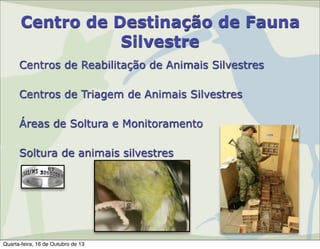 Centro de Destinação de Fauna
Silvestre
Centros de Reabilitação de Animais Silvestres
Centros de Triagem de Animais Silvestres
Áreas de Soltura e Monitoramento
Soltura de animais silvestres

Quarta-feira, 16 de Outubro de 13

 