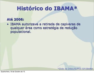Histórico do IBAMA*
Até 2006:
• IBAMA autorizava a retirada de capivaras de
qualquer área como estratégia de redução
populacional.

*Slide da Ditec/SUPES-SP/IBAMA
Quarta-feira, 16 de Outubro de 13

 