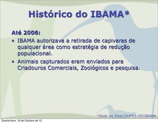 Histórico do IBAMA*
Até 2006:
• IBAMA autorizava a retirada de capivaras de
qualquer área como estratégia de redução
populacional.
• Animais capturados eram enviados para
Criadouros Comerciais, Zoológicos e pesquisa.

*Slide da Ditec/SUPES-SP/IBAMA
Quarta-feira, 16 de Outubro de 13

 