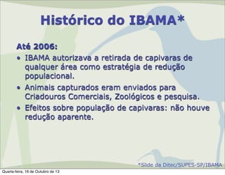Histórico do IBAMA*
Até 2006:
• IBAMA autorizava a retirada de capivaras de
qualquer área como estratégia de redução
populacional.
• Animais capturados eram enviados para
Criadouros Comerciais, Zoológicos e pesquisa.
• Efeitos sobre população de capivaras: não houve
redução aparente.

*Slide da Ditec/SUPES-SP/IBAMA
Quarta-feira, 16 de Outubro de 13

 