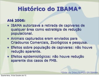 Histórico do IBAMA*
Até 2006:
• IBAMA autorizava a retirada de capivaras de
qualquer área como estratégia de redução
populacional.
• Animais capturados eram enviados para
Criadouros Comerciais, Zoológicos e pesquisa.
• Efeitos sobre população de capivaras: não houve
redução aparente.
• Efeitos epidemiológicos: não houve redução
aparente dos casos de FMB.

*Slide da Ditec/SUPES-SP/IBAMA
Quarta-feira, 16 de Outubro de 13

 