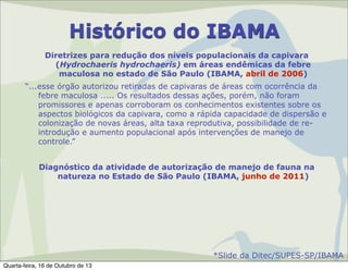 Histórico do IBAMA
Diretrizes para redução dos níveis populacionais da capivara
(Hydrochaeris hydrochaeris) em áreas endêmicas da febre
maculosa no estado de São Paulo (IBAMA, abril de 2006)
“...esse órgão autorizou retiradas de capivaras de áreas com ocorrência da
febre maculosa ..... Os resultados dessas ações, porém, não foram
promissores e apenas corroboram os conhecimentos existentes sobre os
aspectos biológicos da capivara, como a rápida capacidade de dispersão e
colonização de novas áreas, alta taxa reprodutiva, possibilidade de reintrodução e aumento populacional após intervenções de manejo de
controle.”
Diagnóstico da atividade de autorização de manejo de fauna na
natureza no Estado de São Paulo (IBAMA, junho de 2011)

*Slide da Ditec/SUPES-SP/IBAMA
Quarta-feira, 16 de Outubro de 13

 