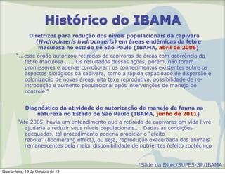 Histórico do IBAMA
Diretrizes para redução dos níveis populacionais da capivara
(Hydrochaeris hydrochaeris) em áreas endêmicas da febre
maculosa no estado de São Paulo (IBAMA, abril de 2006)
“...esse órgão autorizou retiradas de capivaras de áreas com ocorrência da
febre maculosa ..... Os resultados dessas ações, porém, não foram
promissores e apenas corroboram os conhecimentos existentes sobre os
aspectos biológicos da capivara, como a rápida capacidade de dispersão e
colonização de novas áreas, alta taxa reprodutiva, possibilidade de reintrodução e aumento populacional após intervenções de manejo de
controle.”
Diagnóstico da atividade de autorização de manejo de fauna na
natureza no Estado de São Paulo (IBAMA, junho de 2011)
“Até 2005, havia um entendimento que a retirada de capivaras em vida livre
ajudaria a reduzir seus níveis populacionais.... Dadas as condições
adequadas, tal procedimento poderia propiciar o “efeito
rebote” (boomerang effect), ou seja, reprodução exacerbada dos animais
remanescentes pela maior disponibilidade de nutrientes (efeito zootécnico

*Slide da Ditec/SUPES-SP/IBAMA
Quarta-feira, 16 de Outubro de 13

 