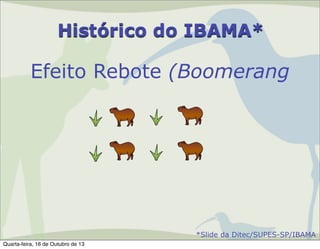 Histórico do IBAMA*

Efeito Rebote (Boomerang

*Slide da Ditec/SUPES-SP/IBAMA
Quarta-feira, 16 de Outubro de 13

 