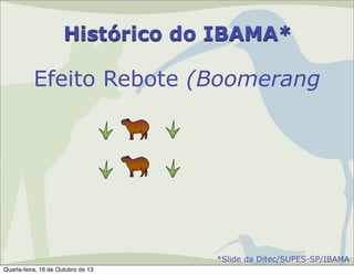 Histórico do IBAMA*

Efeito Rebote (Boomerang

*Slide da Ditec/SUPES-SP/IBAMA
Quarta-feira, 16 de Outubro de 13

 