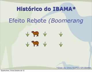 Histórico do IBAMA*

Efeito Rebote (Boomerang

*Slide da Ditec/SUPES-SP/IBAMA
Quarta-feira, 16 de Outubro de 13

 
