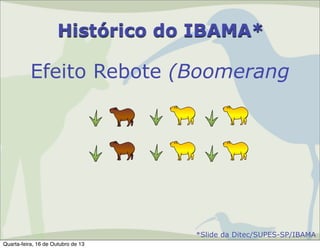 Histórico do IBAMA*

Efeito Rebote (Boomerang

*Slide da Ditec/SUPES-SP/IBAMA
Quarta-feira, 16 de Outubro de 13

 