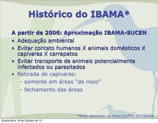 Histórico do IBAMA*
A partir de 2006: Aproximação IBAMA-SUCEN
• Adequação ambiental
• Evitar contato humanos X animais domésticos X
capivaras X carrapatos
• Evitar transporte de animais potencialmente
infectados ou parasitados
• Retirada de capivaras:
– somente em áreas “de risco”
– fechamento das áreas

*Slide adaptado da Ditec/SUPES-SP/IBAMA
Quarta-feira, 16 de Outubro de 13

 