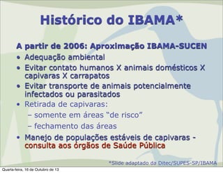 Histórico do IBAMA*
A partir de 2006: Aproximação IBAMA-SUCEN
• Adequação ambiental
• Evitar contato humanos X animais domésticos X
capivaras X carrapatos
• Evitar transporte de animais potencialmente
infectados ou parasitados
• Retirada de capivaras:
– somente em áreas “de risco”
– fechamento das áreas
• Manejo de populações estáveis de capivaras consulta aos órgãos de Saúde Pública
*Slide adaptado da Ditec/SUPES-SP/IBAMA
Quarta-feira, 16 de Outubro de 13

 