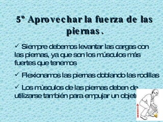 5º Aprovechar la fuerza de las piernas. Siempre debemos levantar las cargas con las piernas, ya que son los músculos más fuertes que tenemos Flexionamos las piernas doblando las rodillas Los músculos de las piernas deben de utilizarse también para empujar un objeto 