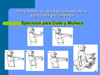 Programas de acondicionamiento y ejercicios pre jornada Ejercicios para Codo y Muñeca 