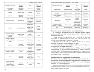 20 21
Fundación Produce Sinaloa, A.C. Establecimiento y manejo de cercas vivas en el sur de Sinaloa
Nombres comunes
Nombre
cientíﬁco
Usos
Forma de
siembra
Arellano, palo
colorado
Caesalpina
platyloba
Maderable
Plántulas y
directa
Gandul Cajanus cajan Forraje
Plántulas y
directa
Eucalipto
Eucaliptus
deglupta
Maderable Plántulas
Cacahuananche Gliricidia spp.
Leña, forraje,
abono verde,
tutor vivo y
estacas
Estacas y
plántulas
Melina Gmelina arborea
Maderable,
pulpa para
papel, leña,
forraje,
melífera y
rompeviento
Directa,
plántulas y
estacas
Amapola, clavelón,
clavel, papo y
campana
Hibiscus rosa-
sinensis
Forraje y
ornamental
Estacas
Tempate, cotocillo,
coquillo y piñón de
cerca
Jatropa curcas Maderable Estacas
Leucaena
Leucaena
leucocephala
Forraje, leña,
abonos verdes
y controlar la
erosión
Directa y
seudoestaca
Guamúchil, guayacán
blanco y espino
Pithecelobium
dulce
Forraje,
cortinas,
rompeviento y
melífera
Directa y
estacas
Saúco
Sambucus
mexicana
Forraje,
abonos
verdes, leña y
melífera
Estacas
Jocote, jobo, jobo
blanco, jobo de
castilla, jocote,
garrobo y pitarrillo
Spondias
mangiferas
Alimentación y
forraje
Estacas
Nombres comunes
Nombre
cientíﬁco
Usos
Forma de
siembra
Jobo y jobillo Spondias mombin
Forraje y
pulpa para
papel
Estacas
Venadillo Swietenia humilis Maderable Plántulas
Roble sabana y
amapa
Tabebuia rosea Maderable Plántulas
Tamarindo
Tamarindos
indica
Forraje,
melíferas,
rompeviento y
alimentación
Directa e
injerto
Candelillo, roble
amarillo y sardinillo
Tecota stans
Abono verde,
leña y melífera
Directa y
estacas
Teca Teutona grandis Maderable Plántulas
MANEJO DE CERCAS CONSTITUIDAS POR ÁRBOLES FORRAJEROS
• La producción de follaje es función de: a) especie utilizada, b) edad
de la cerca, c) frecuencia de poda, d) época del año y e) características
agroclimáticas de sitio.
• Para conseguir una producción alta y sostenida de biomasa
comestible, es preferible podar las cercas vivas cada seis meses, aun
cuando se sacriﬁquen algo la calidad de la biomasa.
• En áreas con un periodo seco deﬁnido, muchas de las leñosas
presentes en las cercas ﬂorecen y pierden sus hojas.
• Podas estratégicas a ﬁnales de la época de lluvias permiten disponer
de follaje verde durante el periodo seco.
• Durante el periodo seco, para obtener el follaje de leucaena y/o
cacahuananchi, es necesario para suplementar con proteína cruda un
novillo de 300 a 400 kilogramos de peso que pastorea en potreros de
pasto buﬀel y/o llanero se deben podar de 3 a 5 árboles por día por cada
animal que se vaya a suplementar.
ALGUNOS BENEFICIOS ECOLÓGICOS DE LOS CERCOS VIVOS
Las cercas vivas son hábitats importantes para la conservación de la
biodiversidad, especialmente aquellas que tienen una mayor diversidad
de especies y estructura, atributos que deben ser incrementados para
potenciar sus funciones ecológicas.
Las cercas vivas cumplen funciones importantes en la conservación de
la biodiversidad, su potencial varía según su complejidad en composición,
estructura y manejo de las podas.
 