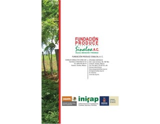 26
Fundación Produce Sinaloa, A.C.
 