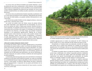 8 9
Fundación Produce Sinaloa, A.C. Establecimiento y manejo de cercas vivas en el sur de Sinaloa
unidades agropecuarias se realiza una extracción de 30.5 millones de
piezas anuales con un valor estimado de 305 millones de pesos al año.
Actualmente, en Sinaloa existe una demanda creciente de madera
para postes que se utilizan para delimitar las unidades de producción
agropecuarias. Sin embargo, cada vez es más costoso obtenerlos debido
a los precios de transporte y la escasez de especies de buena madera para
tal ﬁn.
Los árboles se pueden ubicar a lo largo de los predios o caminos como
cercas vivas, combinados con cultivos, separando potreros, dividiendo
ﬁncas, etc. Los estudios que hablan sobre esta tecnología indican que
representan una opción recomendable para productores de escasas
tierras; sin embargo, también se puede utilizar en ranchos grandes.
Diversos autores señalan que los árboles en linderos presentan
grandes ventajas cuando su manejo es adecuado; no obstante, reportan
algunas desventajas que deben ser cuidadosamente tratadas para evitar
pérdidas de productividad en el sistema. Para este tipo de árboles es
recomendable usar especies de uso múltiple para aprovechar los diversos
Los cercos vivos son hileras de árboles que pueden delimitar o servir
de protección para otros componentes u otros sistemas. Esta tecnología
agroforestal es considerada por muchos cientíﬁcos como complementaria
a otros sistemas integrados de producción (por ejemplo, los cercos vivos
pueden complementarse con cultivos anuales o perennes o con sistemas
pecuarios).
Los cercos vivos son plantaciones lineales separadas usualmente a 3,4
y 5 o más metros de distancia entre individuos, dependiendo del tamaño
de la copa del árbol adulto, y se pueden sembrar efectivamente en una
o dos líneas.
Las cercas vivas pueden dividirse en dos categorías básicas: cercas con
postes vivos, y barreras vivas o setos.
Las cercas con postes vivos son hileras únicas de plantas leñosas
que están espaciados y que regularmente son descopadas. Se usan en
vez de los postes de metal o madera para sostener alambre de púas u
otros materiales. El propósito primario de las cercas vivas es controlar el
movimiento de los animales y de la gente. Sin embargo, han demostrado
ser sistemas muy diversos, y de bajo riesgo, que proveen numerosos
beneﬁcios a los productores agropecuarios. Además de su función
principal (servir como barrera), las cercas vivas pueden proveer leña,
forraje, alimentos, actuar como cortinas rompevientos y enriquecer
el suelo, dependiendo de las especies que se utilicen. Además, es una
actividad fácil, productiva, mejora el rancho, valoriza la tierra, diferencia
linderos, da sombra y disminuye el mantenimiento de las cercas.
¿POR QUÉ SE DEBEN ESTABLECER CERCOS VIVOS?
En el estado de Sinaloa, todos los predios agropecuarios se encuentran
delimitados de manera rústica, es decir, con cercas de alambre de púas y
postes perimetrales extraídos del bosque tropical caducifolio2
, los cuales
se colocan a una distancia aproximada de 2 metros de separación. Se
estima que una unidad productiva típica con 20 hectáreas requiere de
alrededor de mil 500 postes para delimitarla y de más de 500 postes al
año para reposición, los cuales a la fecha se obtienen de manera gratuita
en este ecosistema.
La demanda potencial de postes para cerco perimetral en el temporal
sinaloense es del orden de 90 millones de piezas, las cuales son extraídas
en su totalidad del bosque tropical caducifolio; el valor económico de este
recurso, a nivel estado, se estima en 900 millones de pesos; solamente
para el mantenimiento o reposición de los postes perimetrales de las
2 Caducifolia: planta que permanece desprovista de hojas durante un periodo
anual más o menos largo.
Figura1.Cercavivadearellano(Caesalpiniaplatyloba)dividiendopotreros
en módulo agroforestal de El Huajote, Concordia, Sinaloa.
 