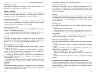 12 13
Fundación Produce Sinaloa, A.C. Establecimiento y manejo de cercas vivas en el sur de Sinaloa
MÉTODOS DE SIEMBRA
Para Sinaloa se recomienda establecer los cercos vivos por estaca o por
planta, una vez que inicie la temporada de lluvia.
Estacas o estacones
Es un método rápido para reproducir las plantas, pero solo se puede
utilizar con especies que brotan rápido. El cacahuananchhe, papelillo y
ciruelo son especies que se adaptan muy bien a este método.
PARA OBTENER LAS ESTACAS
Se seleccionan árboles con ramas de un año y medio a dos años de edad
que son sanos, sin enfermedades ni ataques de insectos y que no tengan
rajaduras, magulladuras, ni desgarres de la cáscara.
PREPARACIÓN DE LA ESTACA
Se recomienda que las estacas sean rectas, entre 2 y 2.5 metros de largo
y entre 4 y 8 centímetros de grueso.
El corte de las estacas se debe realizar de un solo golpe, utilizando el
machete. El corte de arriba debe ser inclinado y el de abajo recto.
SIEMBRA
Las estacas se deben sembrar al comienzo de la época de lluviosa. Es
preferible cortar la estaca el mismo día que se siembra, se recomienda
plantar la estaca a una profundidad de 30 a 40 centímetros (cm).
Siembra por plántulas o almácigo
Es un método más seguro pera demanda de mucho cuidado y tiempo
para su establecimiento.
1.Hacer una cama o germinador con materia orgánica y arena ﬁna,
colocar las semillas en hileras con una distancia de 5 cm, o regarlas al
voleo, luego se cubre con una capa ﬁna de tierra.
2.Cuando las plantitas tienen un tamaño de 5 cm se trasplantan a
bolsas de plástico, se colocan en un vivero y se cuidan hasta que estén
listas para llevar al campo.
3.El trasplante al campo se debe hacer cuando las plantas tiene entre
20 y 30 cm de altura. Los pasos para establecer el cerco vivo son los
siguientes:
POCETEO
Esta actividad se debe de realizar con la ayuda de una “pocera”, esta debe
de tener una profundidad de 40 cm, por 30 de ancho; al sembrar la planta
se debe de evitar que las raíces se dañen.
DISTANCIA DE PLANTACIÓN
La distancia que se utiliza para un cerco vivo normalmente es de 2
a 3 metros entre árboles. Esta distancia es adecuada, aunque varía
dependiendo de la disponibilidad de plantas o estacas, así como del
criterio del productor.
LIMPIEZA
Para que los cercos vivos tengan un buen rendimiento es necesario hacer
la limpieza de los cercos de manera frecuente, debido a que los árboles
deben sobresalir de las malezas para que puedan crecer con la rapidez
que los caracteriza.
Siembra directa
Es un método más económico pero solo se puede utilizar con algunas
especies.
1.Seleccionar las mejores semillas.
2.Para preparar el terreno se ara o labra una franja de tierra de
alrededor de 40-50 cm, para evitar que las plantitas sean invadidas por
malas hierbas.
3.Si se quiere hacer una cerca más tupida, las plantas se siembran al
tresbolillo o “pata de gallo”, luego se cubren con hojas o paja.
Distancias de plantación de los árboles
Las distancias de siembra entre árboles dependen de los usos que tendrá
la cerca.
1.Cercas en potreros. Entre 1 a 1.5 metros. Se deben realizar replantes
cada año
2.División de cultivos con potreros. De 2 a 3 hileras al tresbolillo y una
separación entre plantas de 0.3 a 0.4 metros.
3.Linderos. De 3 a 5 metros si son maderables o frutales
4.Forraje, abonos verdes, leñas y estacas. De 0.5 a 1 metro entre
árboles
5.Cortinas rompevientos. Más de dos hileras, a una distancia de 2 a 3
metros
¿CUÁNDO COLOCAR EL ALAMBRE DE PÚAS EN CERCAS CON POTREROS?
El alambre de púas se debe colocar cuando las plantas estén bien
enraizadas y tengan un grosor de más de 15 centímetros (esto puede ser
de 3 a 6 meses para especies como papelillo y/o cacahuananche, que se
propagan por estaca).
 