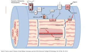 Agentes Inotropicos Inotropicos y vasopresores en choque cardiogenico | PPTX