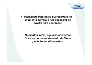 • Fenômeno fisiológico que ocorrerá no
momento correto e não necessita de
auxílio para acontecer.
• Momentos antes, algumas alterações
físicas e no comportamento da fêmea
poderão ser observadas.
 