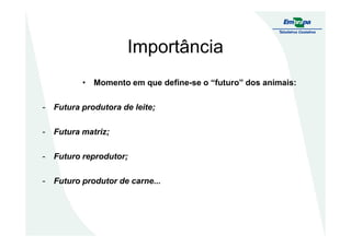 Importância
• Momento em que define-se o “futuro” dos animais:
- Futura produtora de leite;
- Futura matriz;
- Futuro reprodutor;
- Futuro produtor de carne...
 