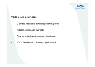 Corte e cura do umbigo
- O cordão umbilical é a mais importante ligação
- Nutrição, respiração, excreção
- Porta de entrada para agentes infecciosos
- (Ex: onfaloflebites, poliartrites, septicemias)
 