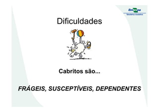 Dificuldades
Cabritos são...
FRÁGEIS, SUSCEPTÍVEIS, DEPENDENTES
 