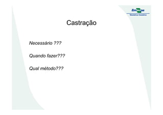 Castração
Necessário ???
Quando fazer???Quando fazer???
Qual método???
 