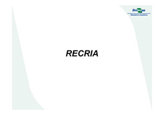 RECRIARECRIARECRIARECRIA
 