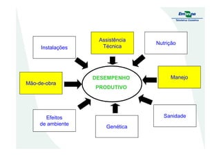 Assistência
Técnica
Nutrição
Instalações
ManejoDESEMPENHODESEMPENHO
Mão-de-obra
Efeitos
de ambiente
Manejo
Sanidade
Genética
DESEMPENHO
PRODUTIVO
DESEMPENHO
PRODUTIVO
 
