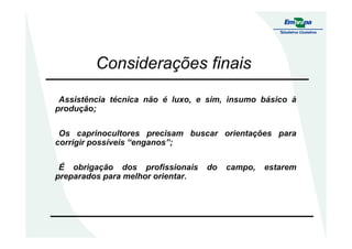 Assistência técnica não é luxo, e sim, insumo básico à
produção;
Considerações finaisConsiderações finais
Os caprinocultores precisam buscar orientações para
corrigir possíveis “enganos”;
É obrigação dos profissionais do campo, estarem
preparados para melhor orientar.
 
