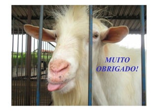 MUITOMUITO
OBRIGADO!OBRIGADO!
 