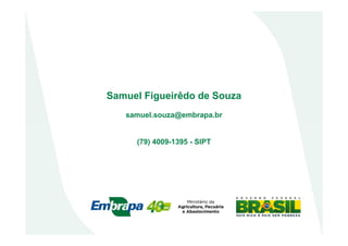 Samuel Figueirêdo de Souza
samuel.souza@embrapa.br
(79) 4009-1395 - SIPT
 