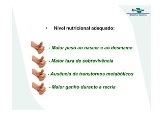 • Nível nutricional adequado:
- Maior peso ao nascer e ao desmame
- Maior taxa de sobrevivência
- Ausência de transtornos metabólicos
- Maior ganho durante a recria
 
