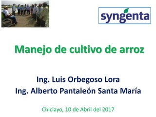 Manejo de cultivo de arroz
Ing. Luis Orbegoso Lora
Ing. Alberto Pantaleón Santa María
Chiclayo, 10 de Abril del 2017
 